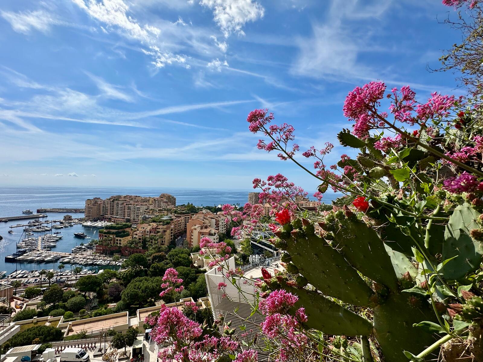 SET OF 8 LOTS ON 9 LOTS - QUARTIER PLATI