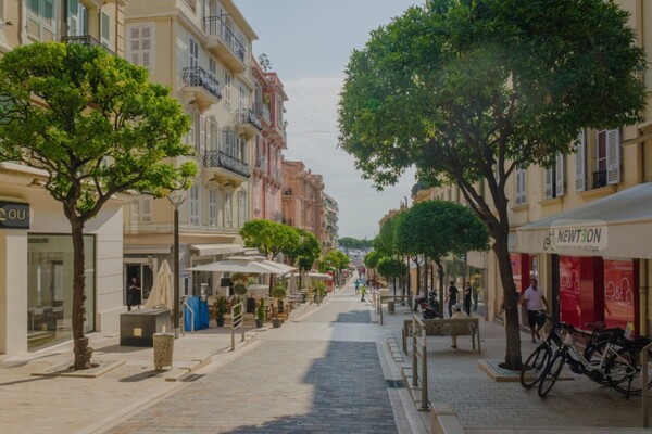 COMMERCIAL WALLS FOR SALE - Waterfront/Rue Princesse Caroline