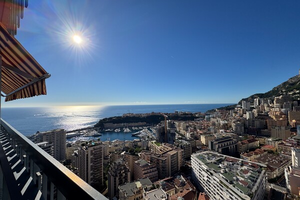 Lussuoso appartamento di 2 locali con vista eccezionale