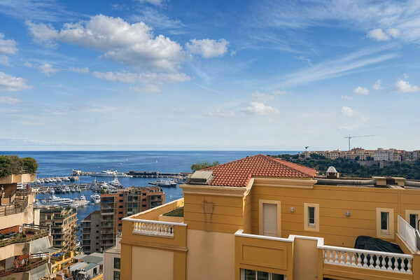 3 room apartment with sea and Monaco-ville  view - rue Bosio - Loi 1291/1235