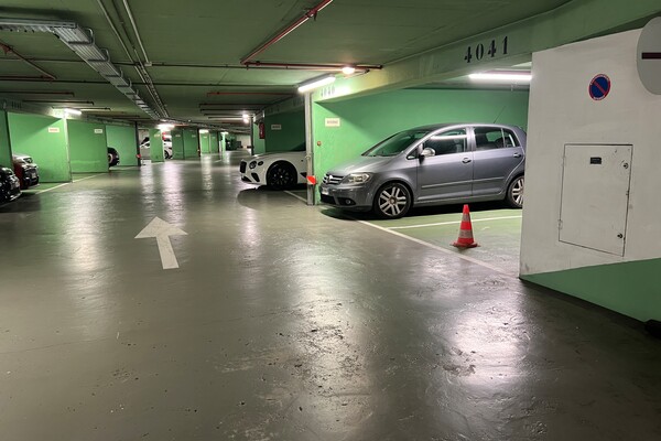 PARC SAINT-ROMAN - PARKING SPACE