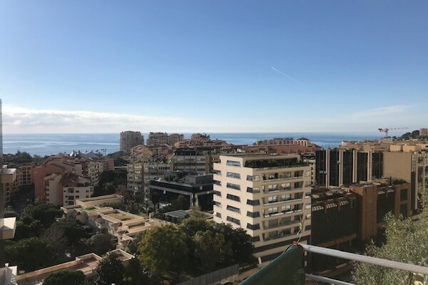 Charmant 2 pièces à la vente, Loi 1291