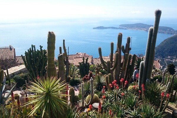 JARDIN EXOTIQUE / VILLA BELLEVUE/ 3 PIECES