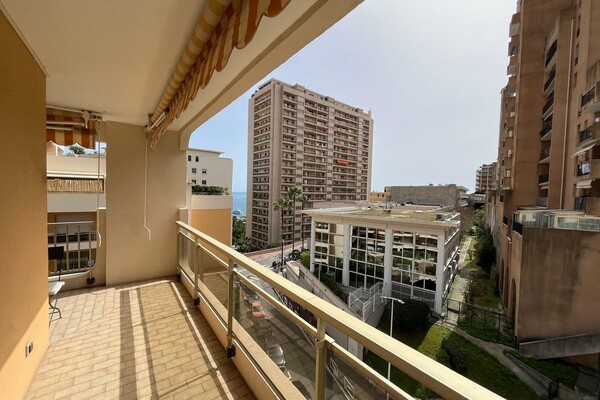 MONACO FRONTIER / PRINCESS PALACE / 4-5 ROOMS