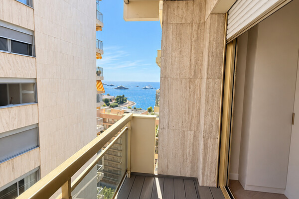 TRÈS BEAU STUDIO RÉNOVÉ MEUBLÉ AVEC APERÇU MER