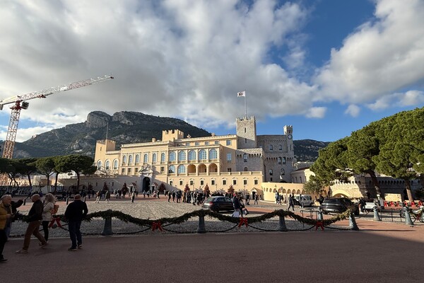 Incantevole monolocale ristrutturato a Monaco City