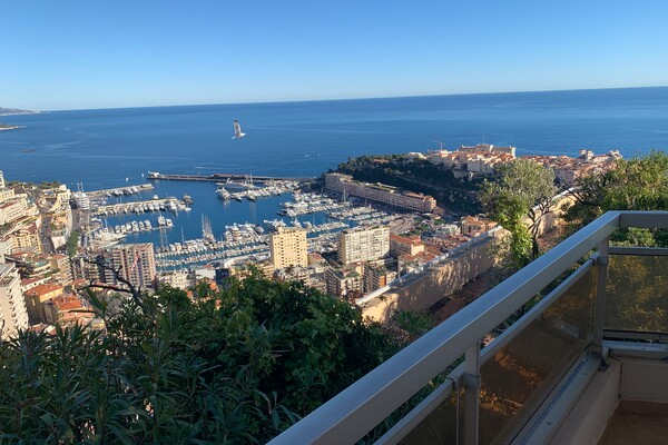 Rendita vitalizia occupata - Magnifico attico di 4/5 locali