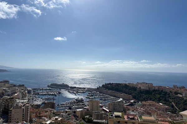Duplex rooftop - Villa Les Pins - Vue sur la Principauté et la mer