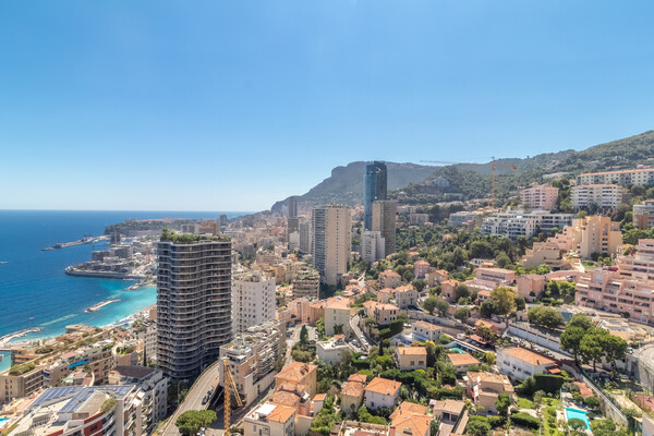 Parc Saint Roman - Magnifique 2 pièces rénové en étage très élevé