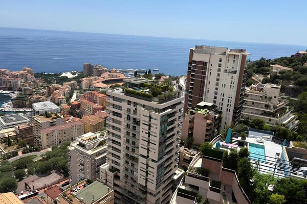 Beau 4 pièces rénové - Jardin Exotique.