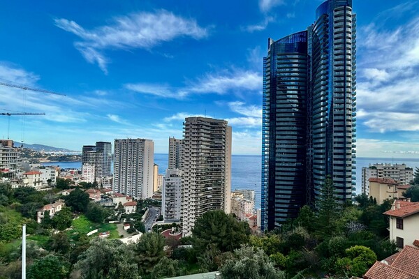 Beautiful furnished 2-bedroom apartment with terrace near Monaco