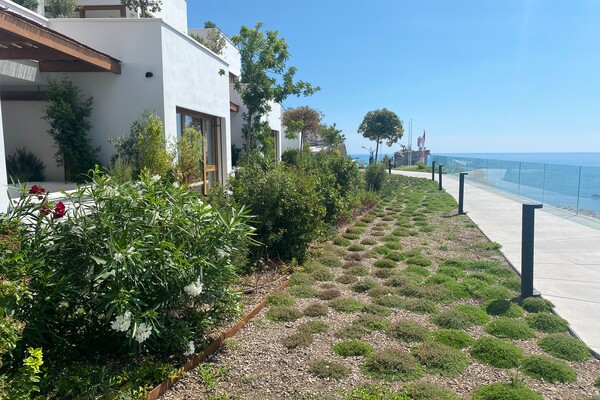 MAGNIFIQUE 3 PIÈCES  - JARDIN EXOTIQUE
