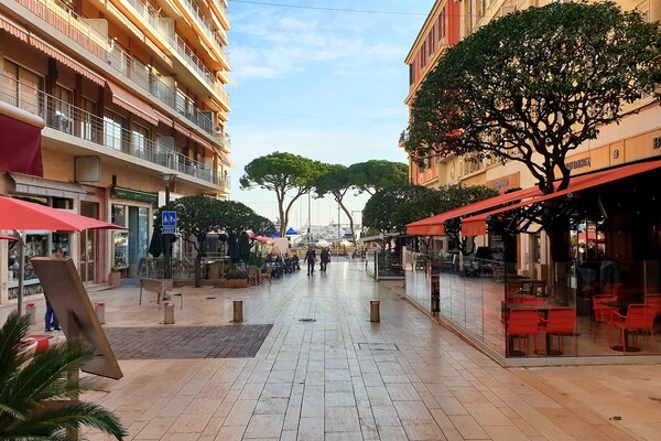 Murs commerciaux rue "Princesse Caroline"