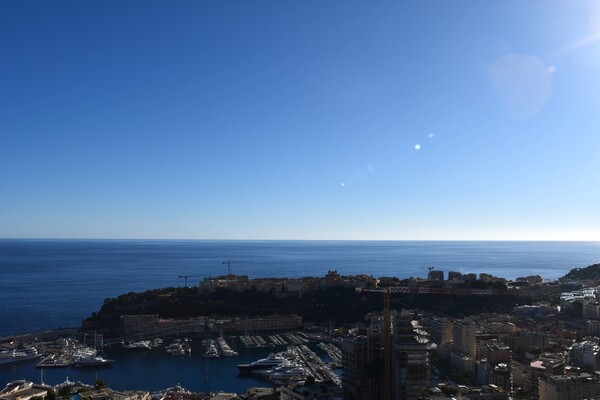 Cave saine disponible à la vente sur le port hercule