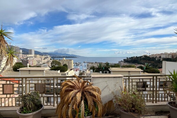 APPARTEMENT EN DUPLEX AVEC TERRASSE ET BELLE VUE  -  FAIRE OFFRE!