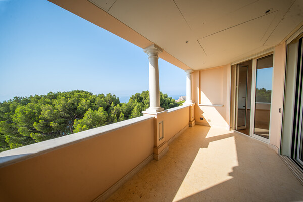 Image of Lacosta Property