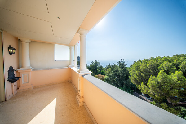 Image of Lacosta Property