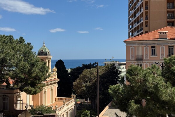 Image of Lacosta Property