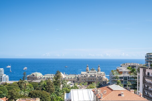 Image of Lacosta Property
