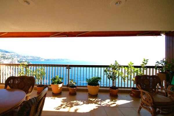 Image of Lacosta Property
