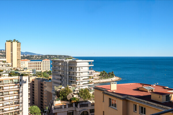 Image of Lacosta Property