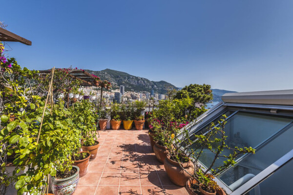 Image of Lacosta Property