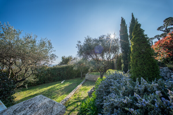 Image of Lacosta Property