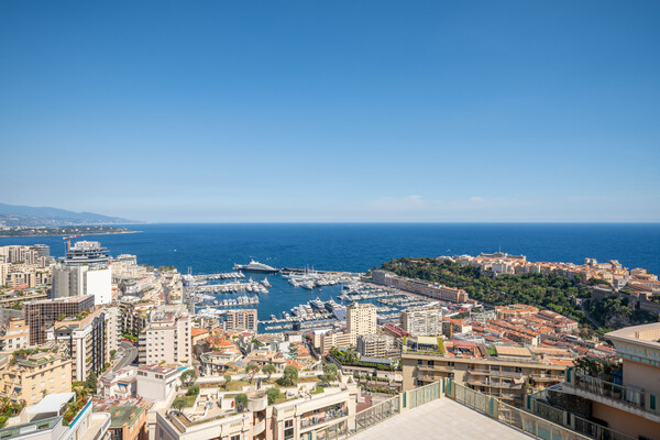 VILLA LES PINS - Jardin Exotique - Duplex Penthouse with Panoramic Views