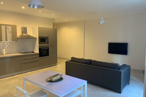 MAGNIFICENT APARTMENT BORDERE MONACO