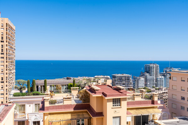 Monte-Carlo - Appartamento di 3 locali arredato