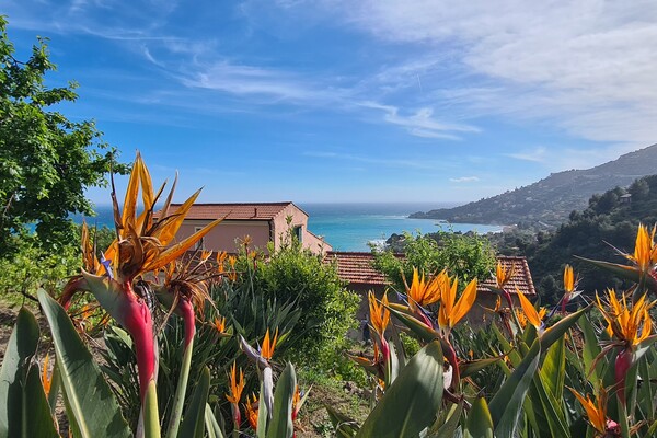 RARE BELLE PROPRIÉTÉ A VENDRE FRANCO ITALIENNE 5 MN DE LA FRONTIERE