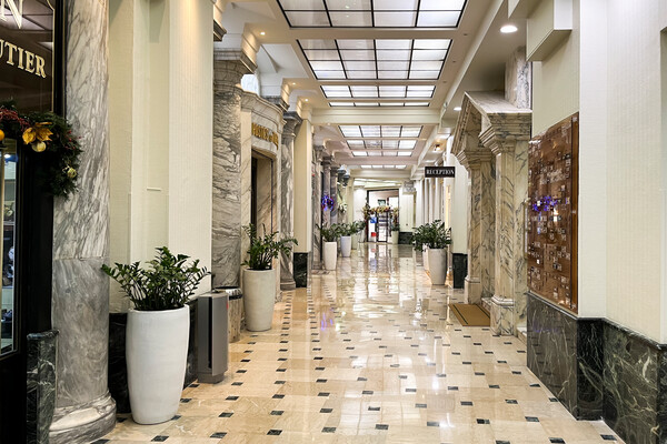 Gioielli per lavoro, arte, dipinti, monete