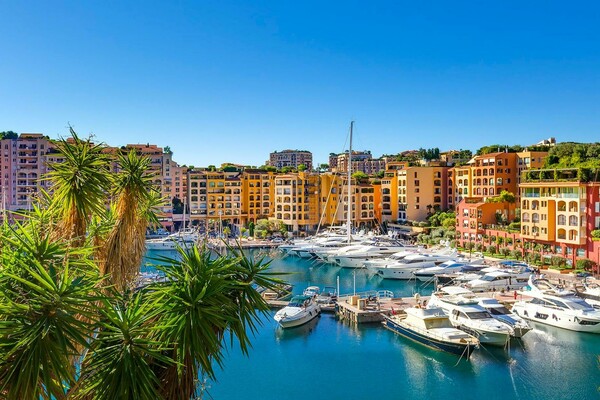 RARE GRANDE SURFACE A FONTVIEILLE