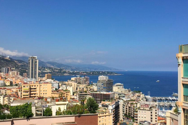 APPARTEMENT 4 PIECES - JARDIN EXOTIQUE