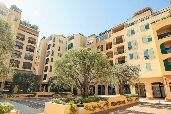 FONTVIEILLE - GRAND BUREAU AVEC BELLE VITRINE