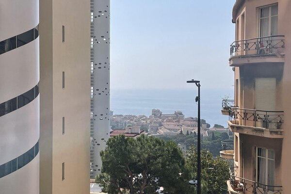 Beau 4 pièces rénové - Villa Bosio