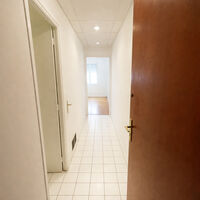 LUMINEUX STUDIO | IMMEUBLE LES LIERRES