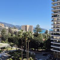 Park Palace — Spacious luxury-renovated 1-bedroom apartment