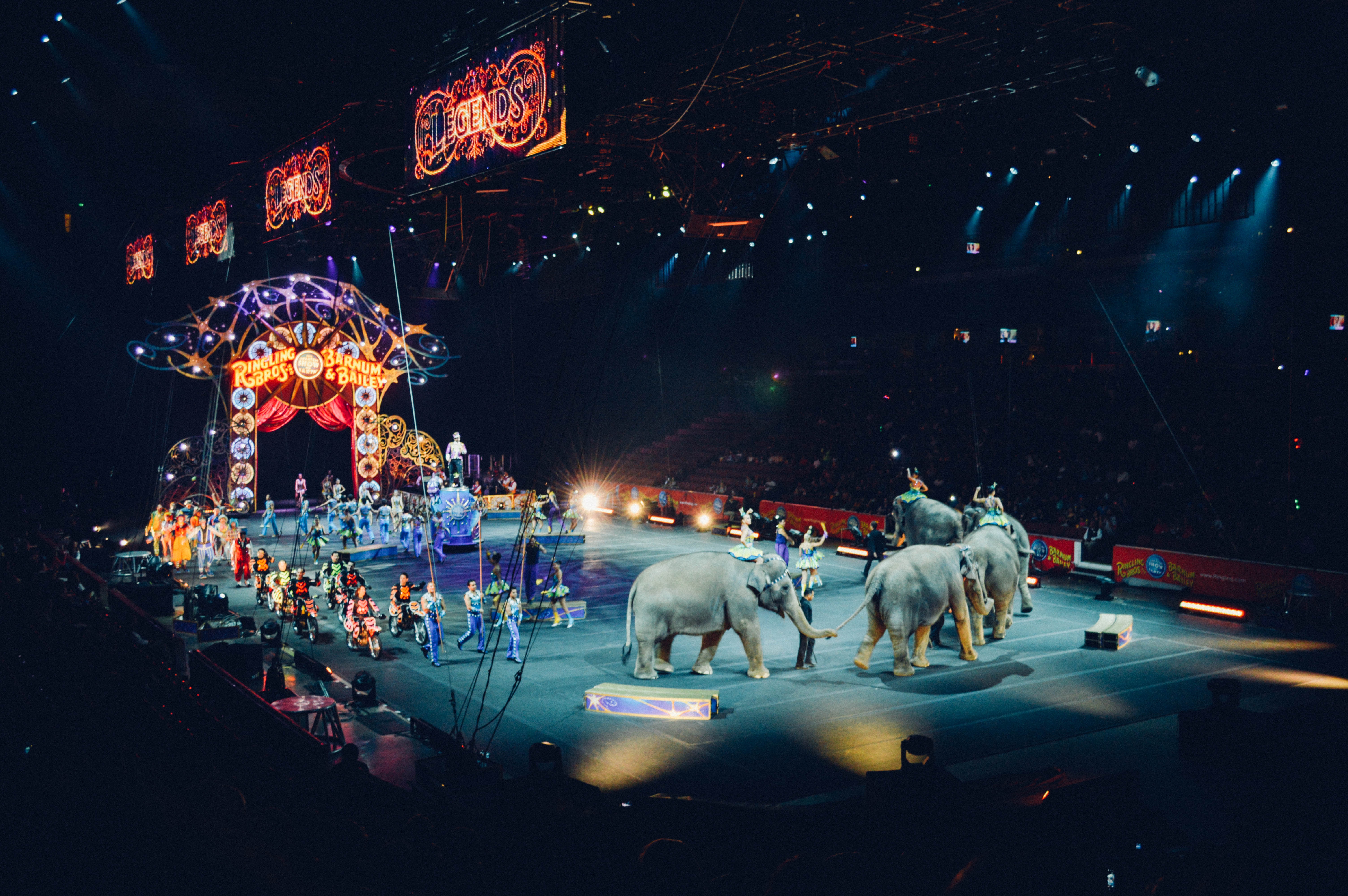 International Circus Festival in Monaco