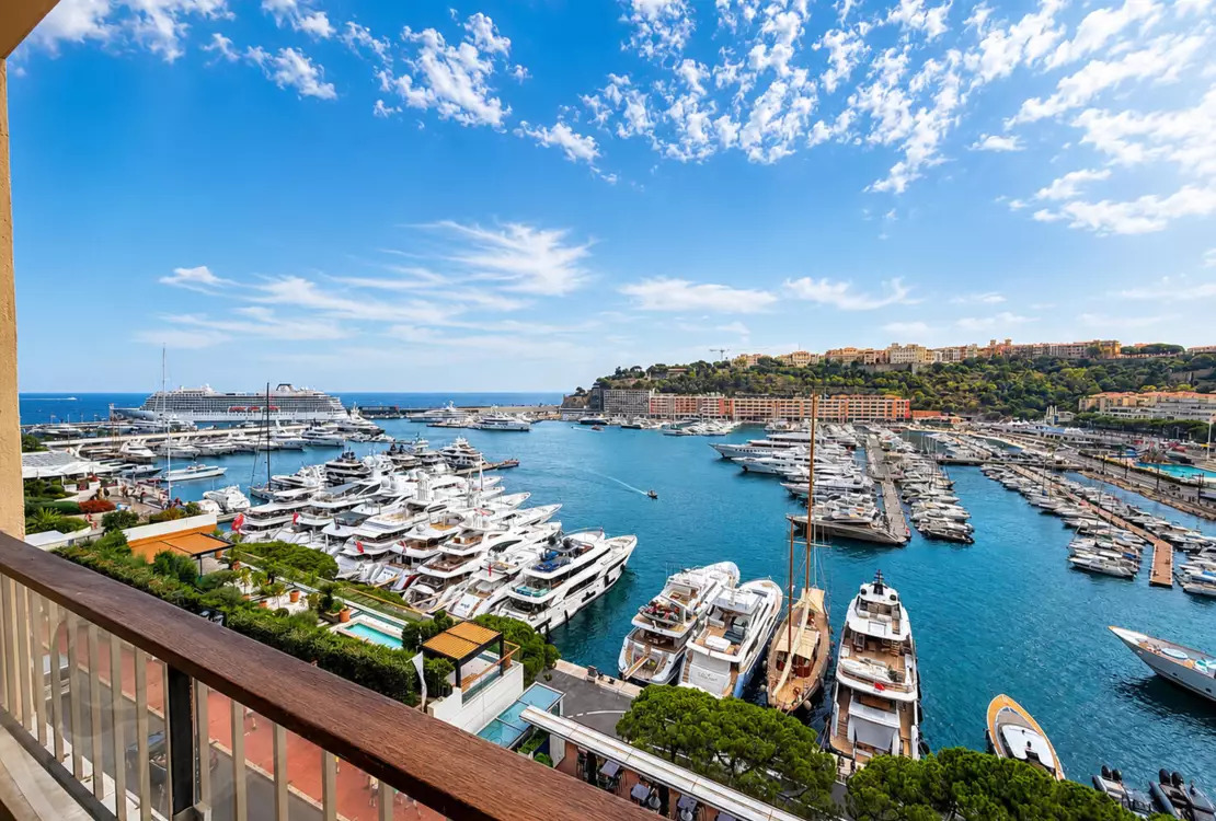 MAGNIFIQUE APPARTEMENT PORT HERCULE